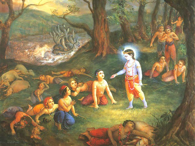 8429602386_03dc3d8202_z